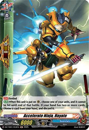 Accelerate Ninja, Hayate (H) - DZ-TB01/H53EN - Holo Rare