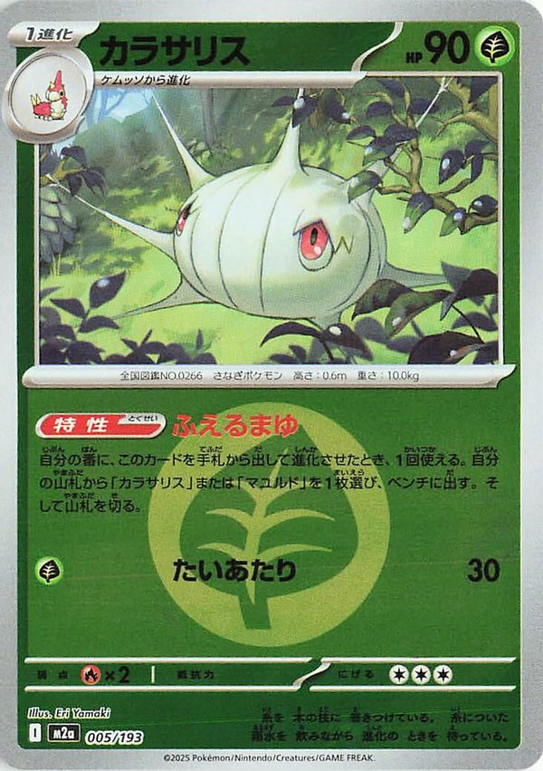 Silcoon (Energy Symbol Pattern) (Japanese) - 005/193 - None
