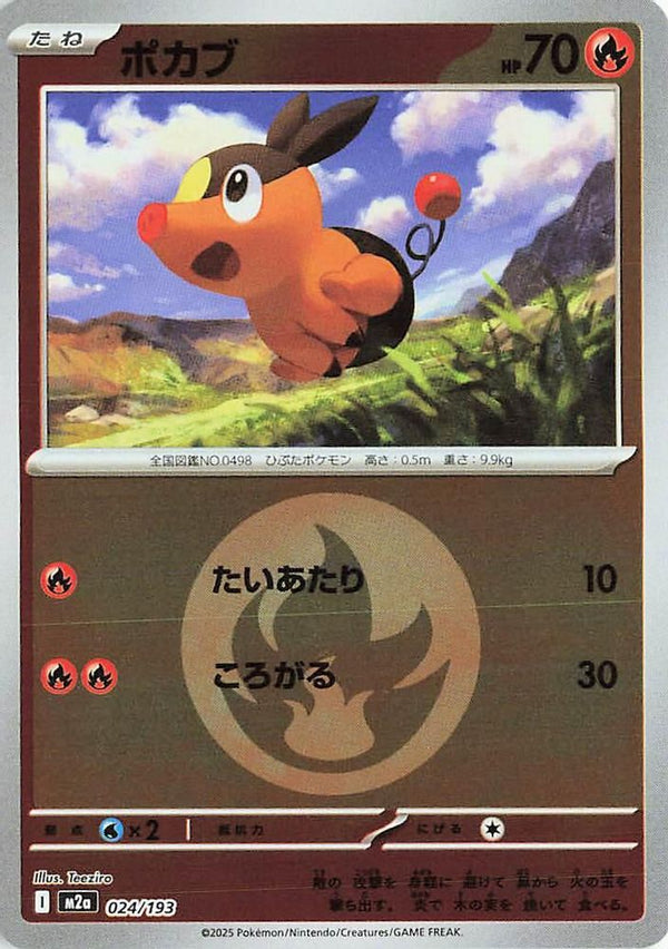 Tepig (Energy Symbol Pattern) (Japanese) - 024/193 - None