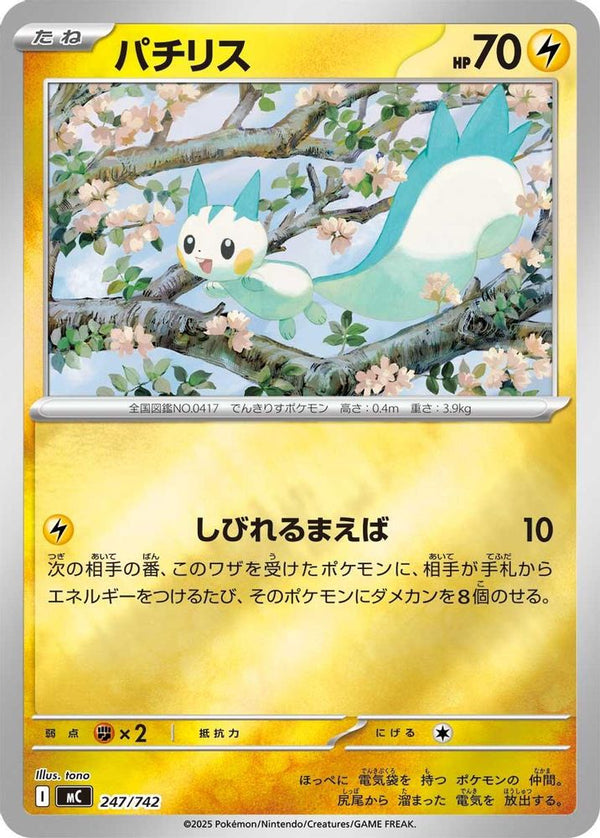 Pachirisu (Japanese) - 247/742 - No Rarity
