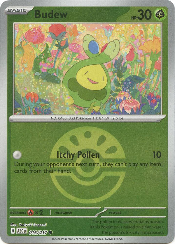 Budew (Friend Ball) - 016/217 - Common