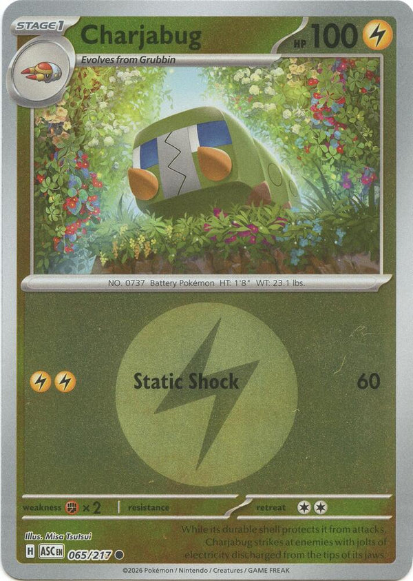 Charjabug (Energy Symbol Pattern) - 065/217 - Common