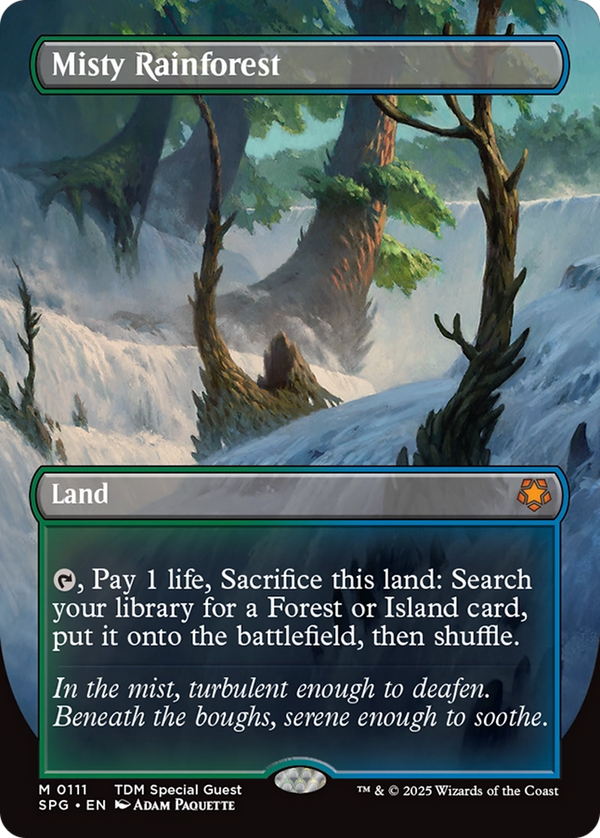 Misty Rainforest - Borderless (SPG)