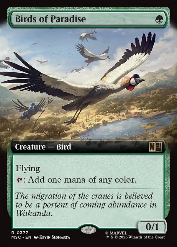 Birds of Paradise - Extended Art (MSC)