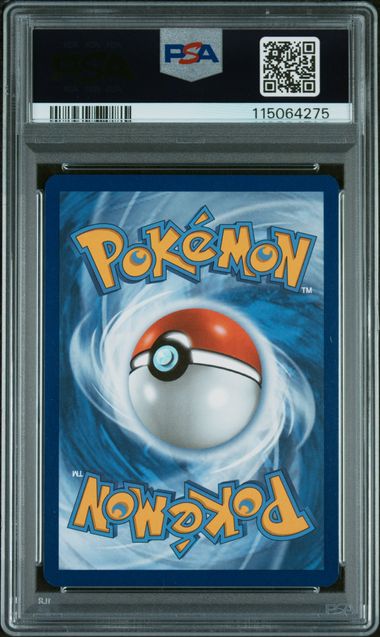 Salamence ex - Journey Together - Special Illustration Rare - PSA 10 GEM MT