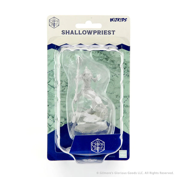 Critical Role: Unpainted Minis - Shallowpriest [90375]