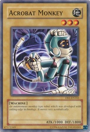 Acrobat Monkey - DR1-EN165 - Common available at 401 Games Canada