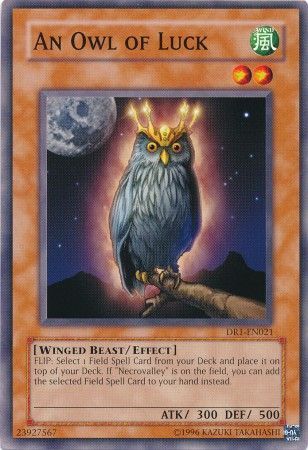 An Owl of Luck - DR1-EN021 - Common available at 401 Games Canada