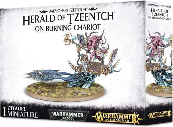 Warhammer: Age of Sigmar - Disciples of Tzeentch - Changecaster (Herald of Tzeentch) **