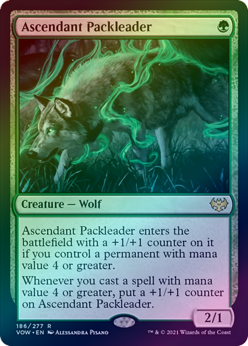 Canada's Source for MTG Cards and Magic The Gathering Sealed!