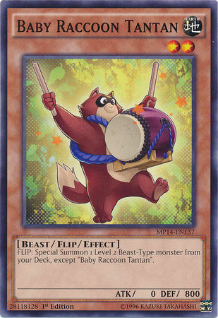 Baby Raccoon Tantan - MP14-EN137 - Common - 1st Edition available at 401 Games Canada