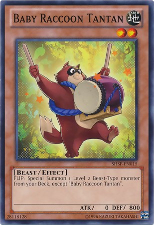 Baby Raccoon Tantan - SHSP-EN015 - Common - Unlimited available at 401 Games Canada