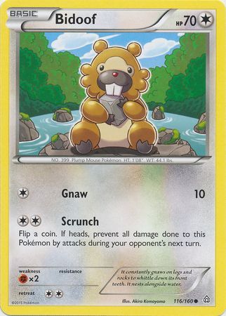 Bidoof - 116/160 - Common available at 401 Games Canada