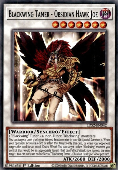 Blackwing Tamer - Obsidian Hawk Joe - LDS2-EN042 - Common - 1st Edition available at 401 Games Canada