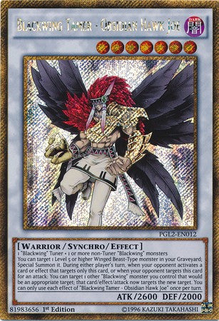 Blackwing Tamer - Obsidian Hawk Joe - PGL2-EN012 - Gold Secret Rare - 1st Edition available at 401 Games Canada