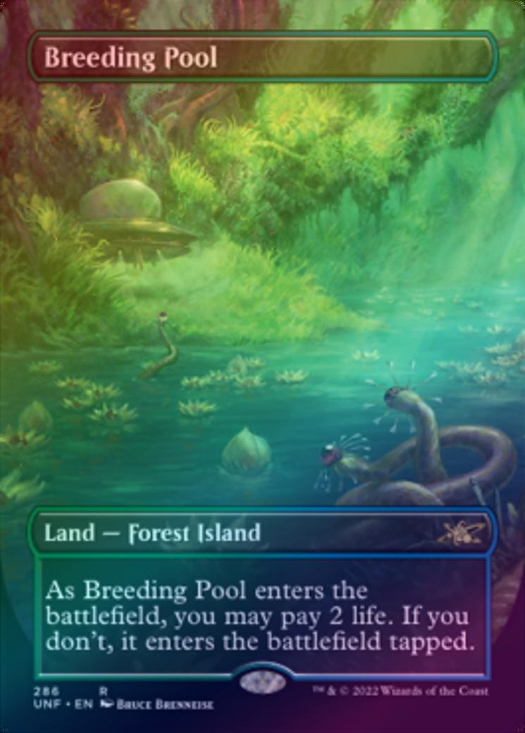 Breeding Pool Card 401 Games Canada - Breeding Pool - Borderless (Foil) (UNF)