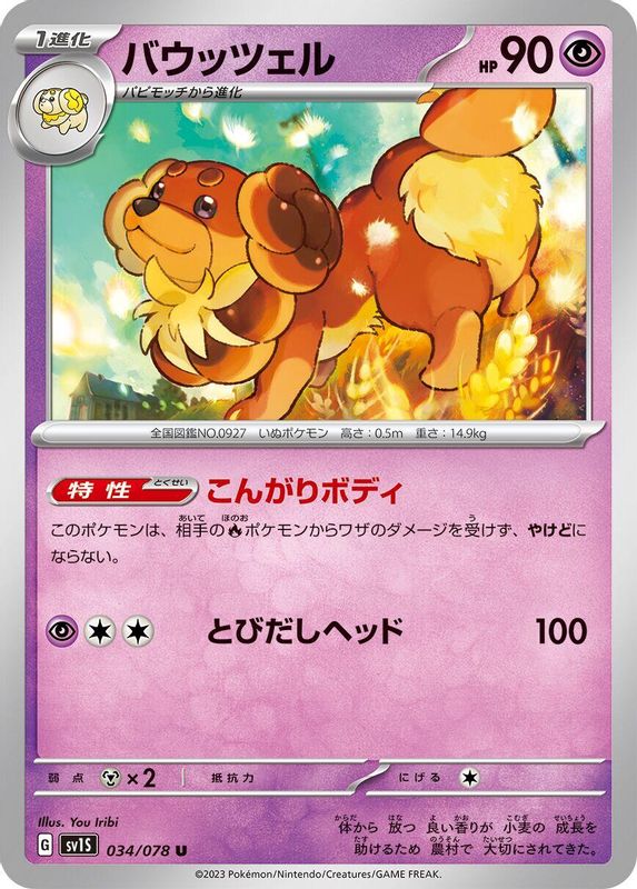 Dachsbun (Japanese) - 034/078 - Uncommon