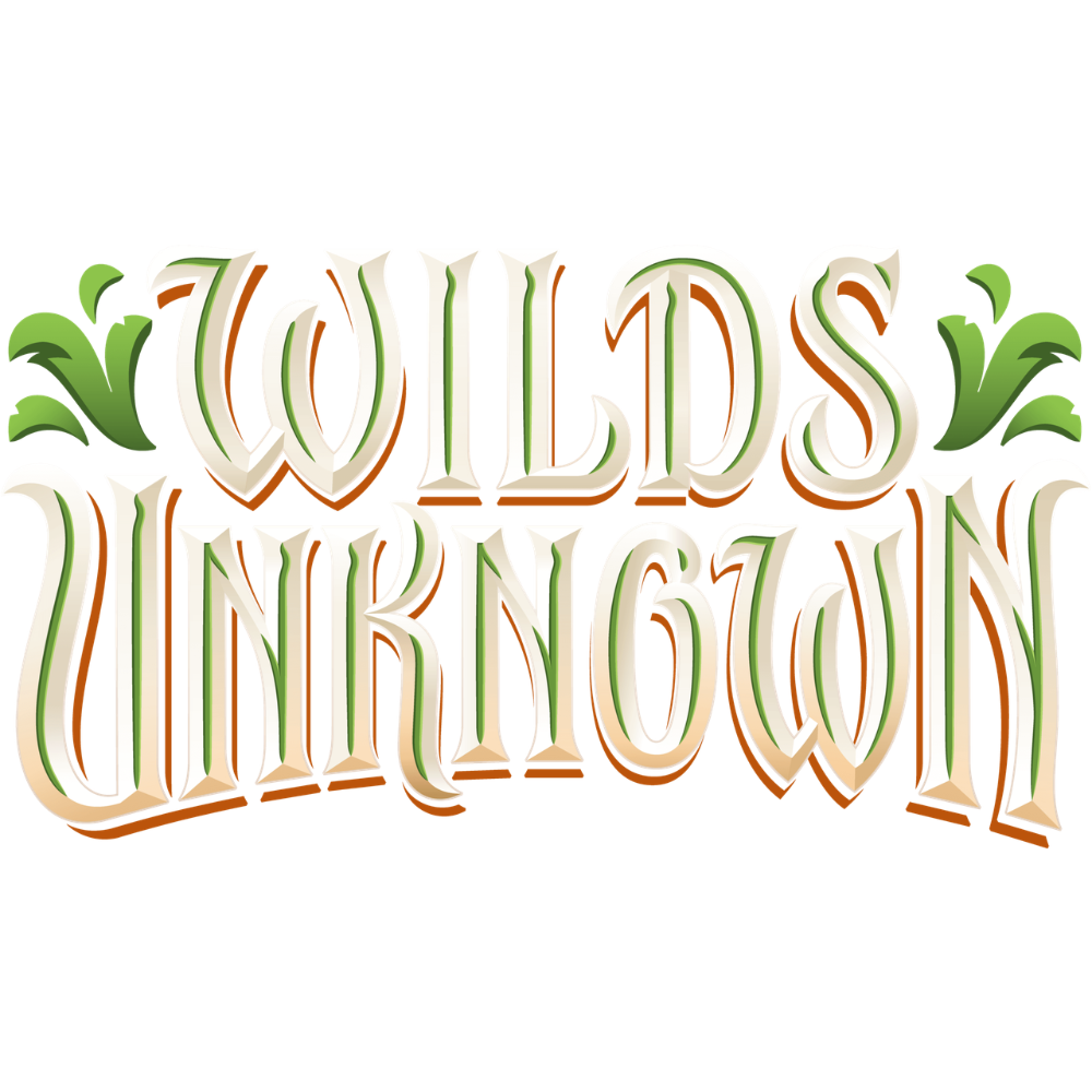 401 Games Canada - Disney Lorcana: Wilds Unknown