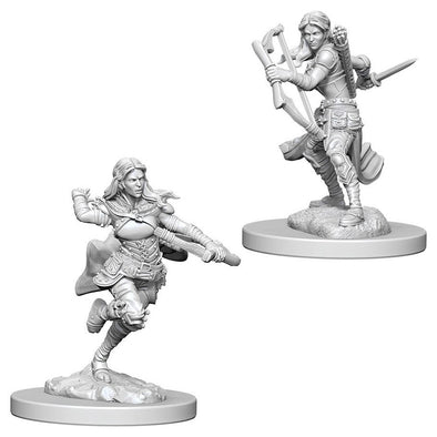 Dungeons & Dragons Nolzur's Marvelous Unpainted Minis: Air Genasi Female Rogue available at 401 Games Canada