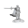 Dungeons & Dragons Nolzur's Marvelous Unpainted Minis: Death Knights available at 401 Games Canada