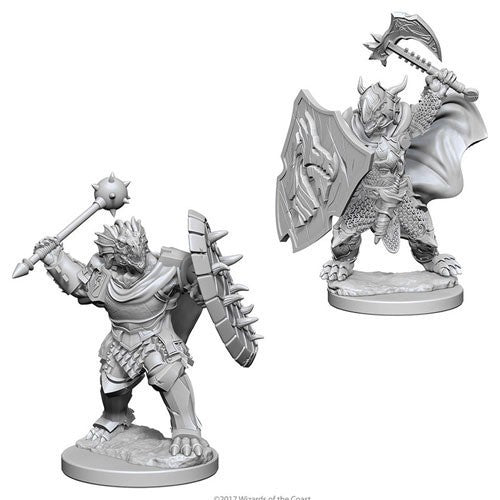 Dungeons & Dragons Nolzur's Marvelous Unpainted Minis: Dragonborn Male Paladin available at 401 Games Canada