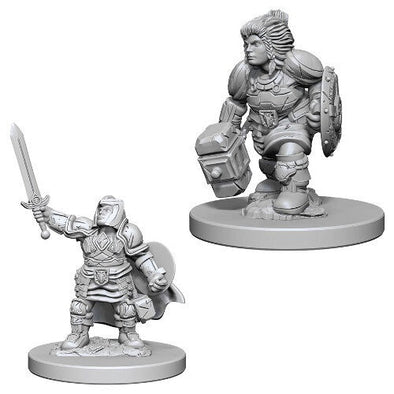 Dungeons & Dragons Nolzur's Marvelous Unpainted Minis: Dwarf Female Paladin available at 401 Games Canada