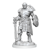 Dungeons & Dragons Nolzur's Marvelous Unpainted Minis: Earth Genasi Fighter available at 401 Games Canada