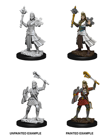 Dungeons & Dragons Nolzur's Marvelous Unpainted Minis: Female Human Cleric available at 401 Games Canada