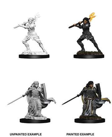 Dungeons & Dragons Nolzur's Marvelous Unpainted Minis: Female Human Paladin available at 401 Games Canada