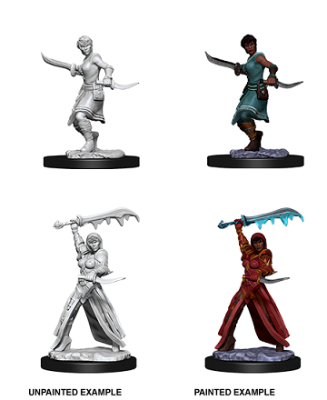 Dungeons & Dragons Nolzur's Marvelous Unpainted Minis: Female Human Rogue available at 401 Games Canada