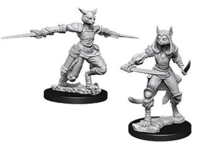 Dungeons & Dragons Nolzur's Marvelous Unpainted Minis: Female Tabaxi Rogue available at 401 Games Canada