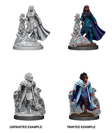 Dungeons & Dragons Nolzur's Marvelous Unpainted Minis: Female Tiefling Sorcerer available at 401 Games Canada