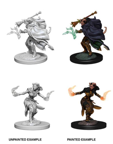 Dungeons & Dragons Nolzur's Marvelous Unpainted Minis: Female Tiefling Warlock available at 401 Games Canada