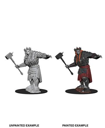 Dungeons & Dragons Nolzur's Marvelous Unpainted Minis: Fire Giant available at 401 Games Canada