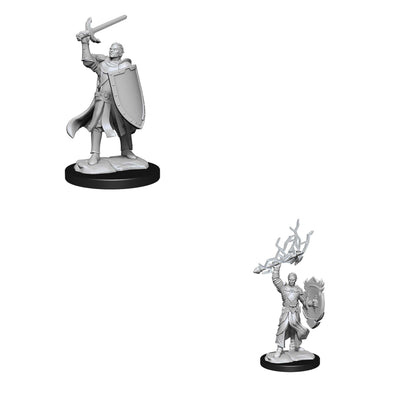 Dungeons & Dragons Nolzur's Marvelous Unpainted Minis: Half-Elf Paladin Male available at 401 Games Canada