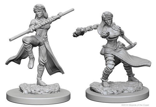 Dungeons & Dragons Nolzur's Marvelous Unpainted Minis: Human Female Monk available at 401 Games Canada