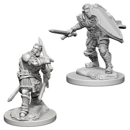 Dungeons & Dragons Nolzur's Marvelous Unpainted Minis: Human Male Paladin available at 401 Games Canada