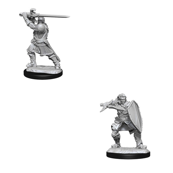 Dungeons & Dragons Nolzur's Marvelous Unpainted Minis: Human Paladin Male available at 401 Games Canada
