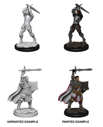 Dungeons & Dragons Nolzur's Marvelous Unpainted Minis: Male Human Paladin available at 401 Games Canada