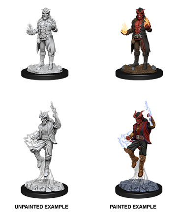 Dungeons & Dragons Nolzur's Marvelous Unpainted Minis: Male Tiefling Sorcerer available at 401 Games Canada