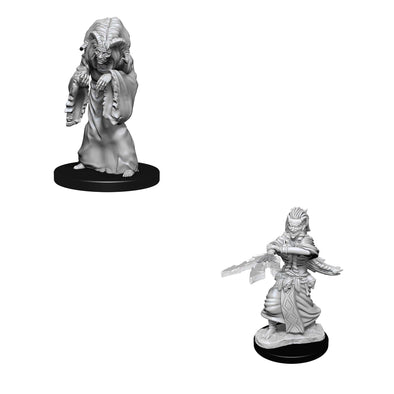 Dungeons & Dragons Nolzur's Marvelous Unpainted Minis: Night Hag/Dusk Hag available at 401 Games Canada