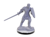 Dungeons & Dragons Nolzur's Marvelous Unpainted Minis: Reborn Paladin/Warlock (Pre-Order) available at 401 Games Canada