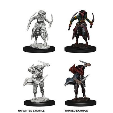 Dungeons & Dragons Nolzur's Marvelous Unpainted Minis: Tiefling Female Rogue available at 401 Games Canada