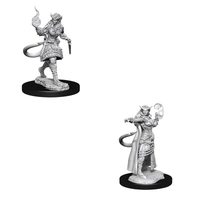 Dungeons & Dragons Nolzur's Marvelous Unpainted Minis: Tiefling Sorcerer Female available at 401 Games Canada