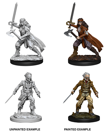 Dungeons & Dragons Nolzur's Marvelous Unpainted Minis: Vampire Hunters available at 401 Games Canada