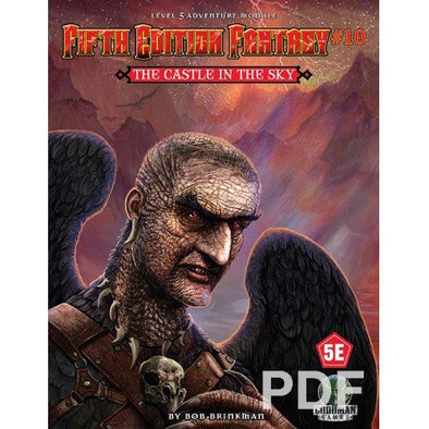 Dungeons and Dragons - 5th Edition - Fifth Edition Fantasy #10: The Castle in the Sky-RPG-401 Games