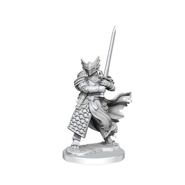 Dungeons and Dragons Frameworks - Unassembled Miniatures - Dragonborn Paladin Male available at 401 Games Canada