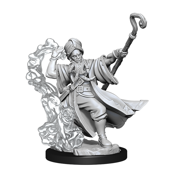 Dungeons and Dragons Frameworks - Unassembled Miniatures - Human Wizard Male available at 401 Games Canada