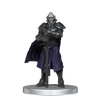 Dungeons and Dragons Miniatures - Icons of the Realms - Denizens of Barovia available at 401 Games Canada