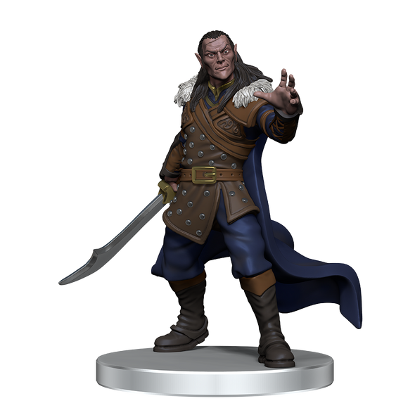 Dungeons and Dragons Miniatures - Icons of the Realms - Denizens of Castle Ravenloft available at 401 Games Canada